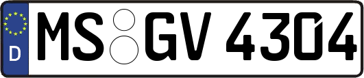 MS-GV4304