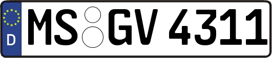 MS-GV4311