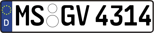 MS-GV4314