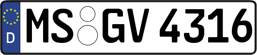 MS-GV4316