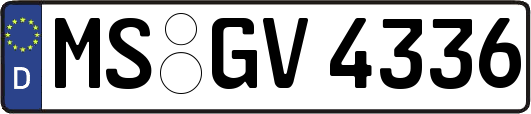 MS-GV4336