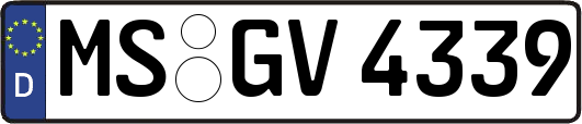 MS-GV4339