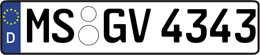 MS-GV4343