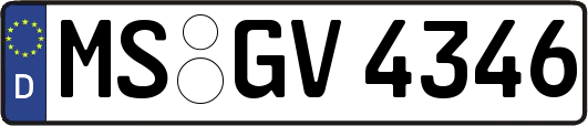 MS-GV4346