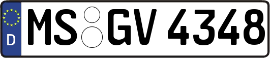 MS-GV4348