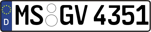 MS-GV4351