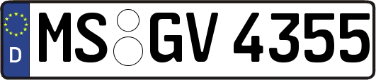 MS-GV4355