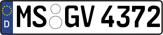 MS-GV4372