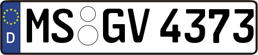MS-GV4373