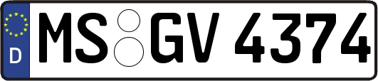 MS-GV4374