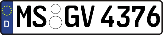 MS-GV4376