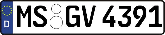 MS-GV4391