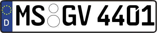 MS-GV4401