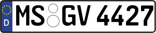 MS-GV4427