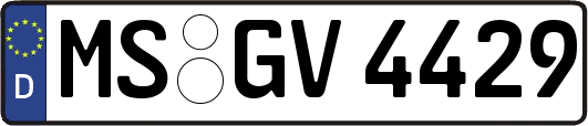 MS-GV4429