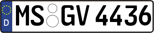 MS-GV4436