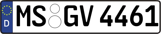 MS-GV4461