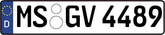 MS-GV4489