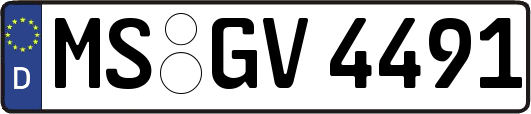 MS-GV4491