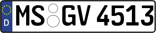 MS-GV4513