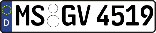MS-GV4519
