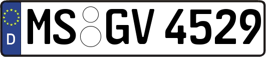 MS-GV4529