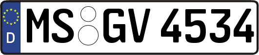 MS-GV4534