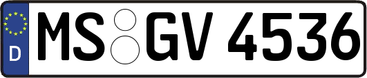 MS-GV4536