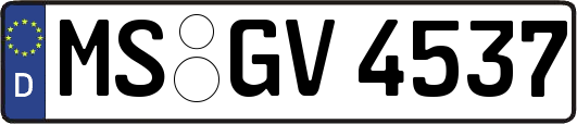 MS-GV4537