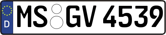 MS-GV4539