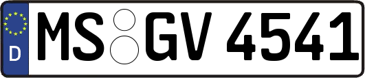 MS-GV4541