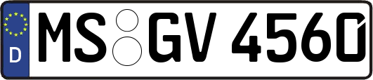 MS-GV4560