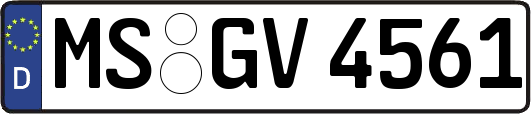 MS-GV4561