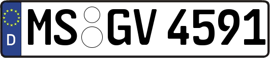 MS-GV4591