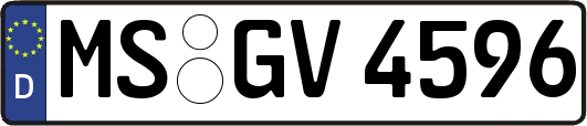MS-GV4596