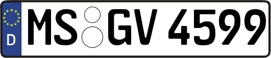 MS-GV4599