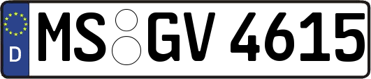 MS-GV4615