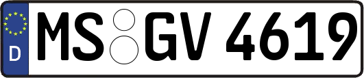MS-GV4619