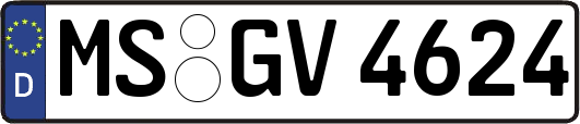 MS-GV4624
