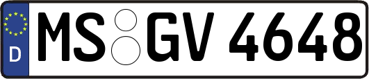 MS-GV4648