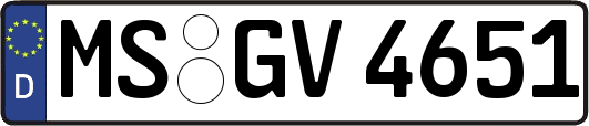 MS-GV4651