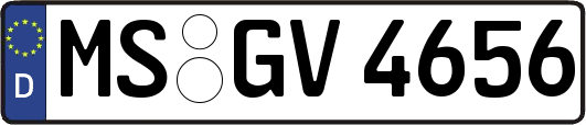 MS-GV4656