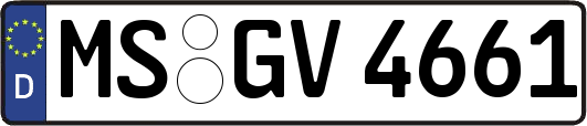 MS-GV4661