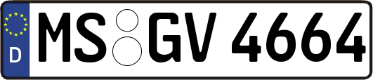 MS-GV4664