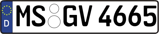 MS-GV4665