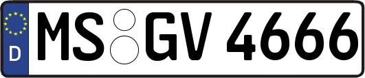 MS-GV4666