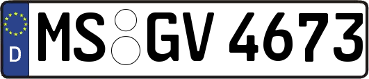 MS-GV4673