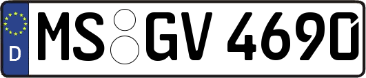 MS-GV4690