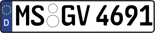 MS-GV4691