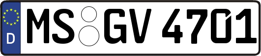 MS-GV4701